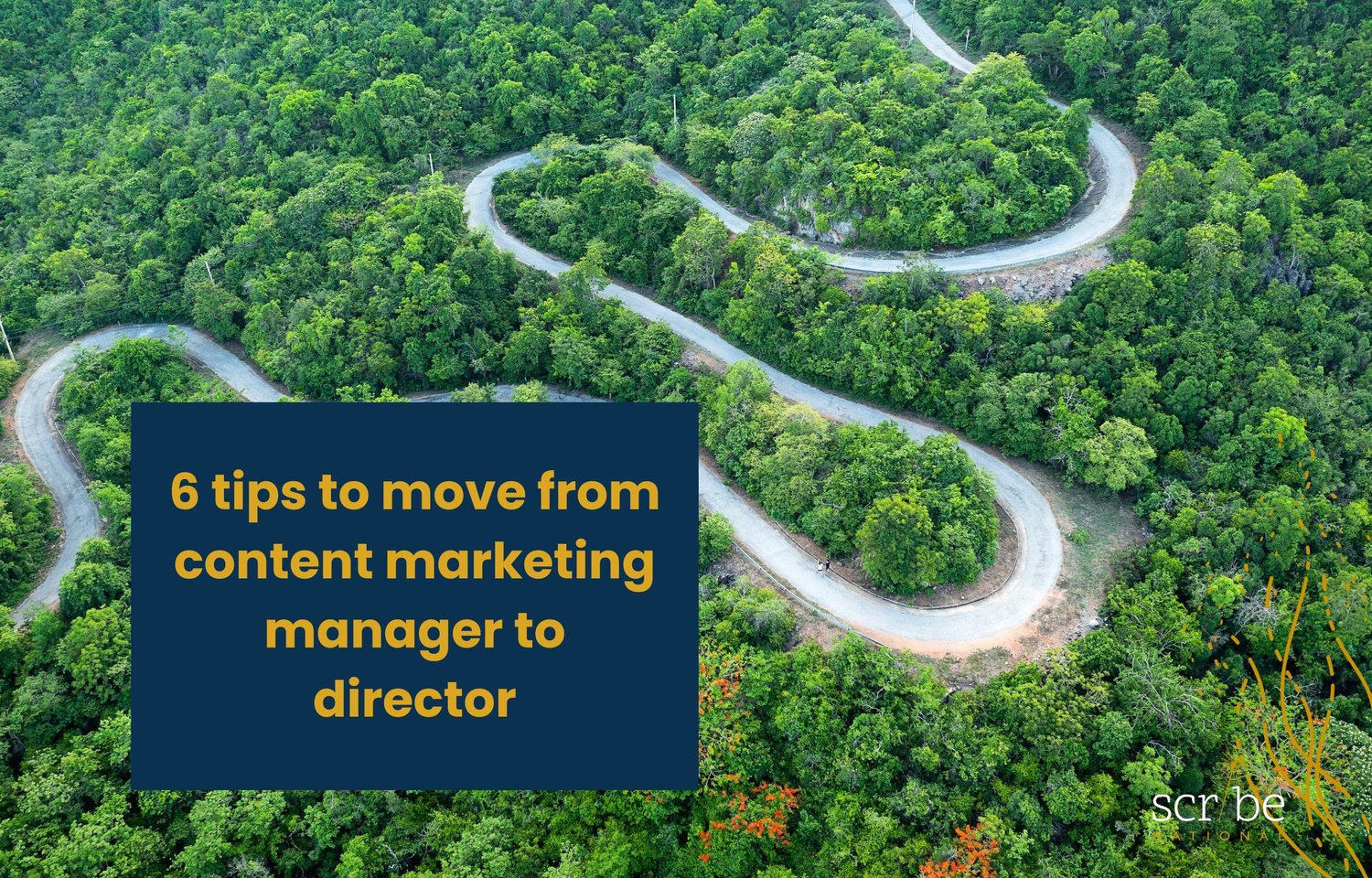 6 tips to move from content marketing manager to
director